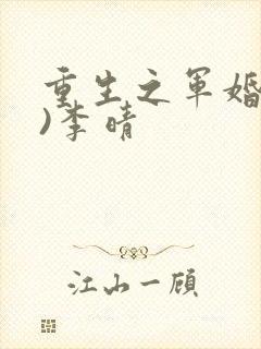 重生之军婚(h)李晴