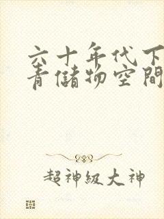 六十年代下乡知青储物空间封面