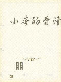 小唐的爱情史封面