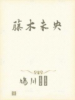 藤木未央封面