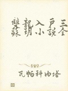 双龙入户三人行苏玥小说全文阅读