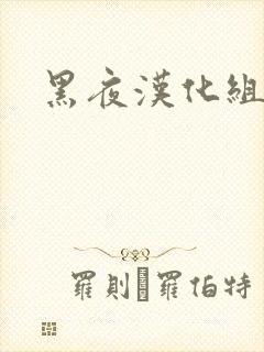 黑夜汉化组