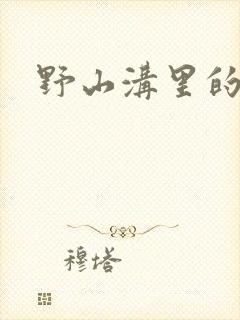 野山沟里的村庄