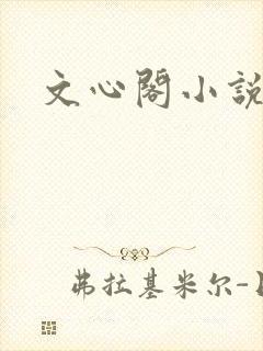 文心阁小说