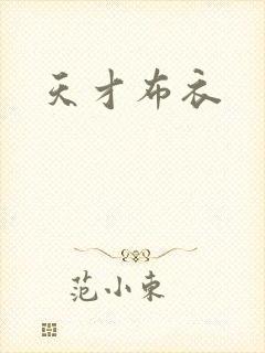 天才布衣封面