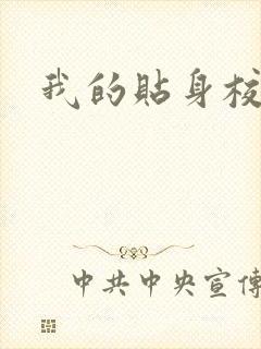 我的贴身校花