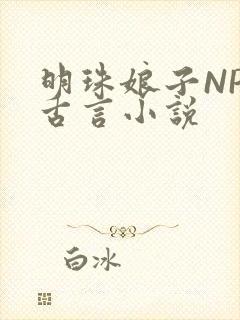 明珠娘子NPC古言小说