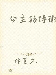 公主的侍卫封面