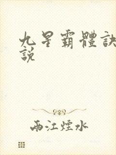 九星霸体诀 小说