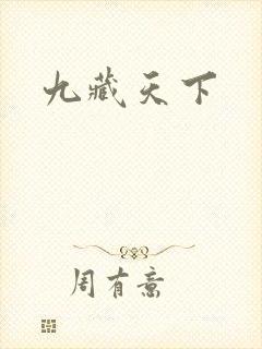 九藏天下封面