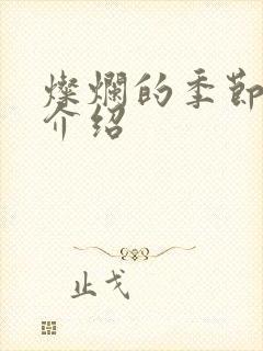 灿烂的季节剧情介绍