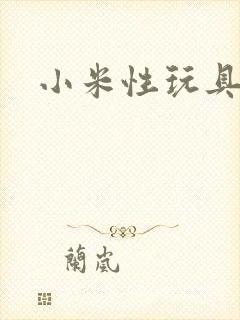 小米性玩具日记封面