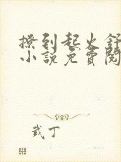 撩到起火舒漾的小说免费阅读全文