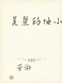 美丽的他小说封面