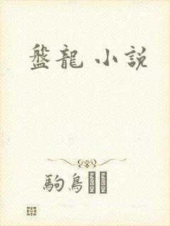 盘龙 小说