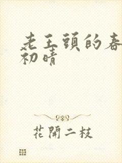 老王头的春天林初晴封面