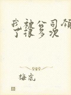 我被公司领导C了很多次封面