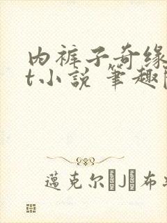 内裤子奇缘txt小说 笔趣阁封面