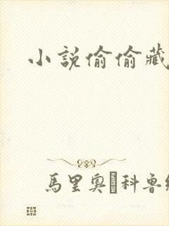 小说偷偷藏不住