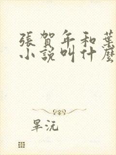 张贺年和叶繁姿小说叫什么名字