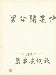 男公关是什么封面