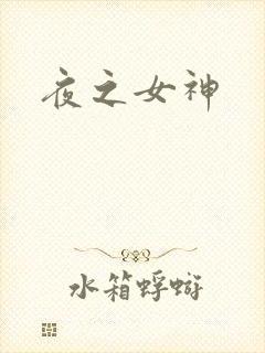 夜之女神