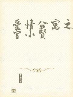 爱情公寓之极品曾小贤