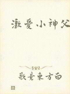 激爱小神父