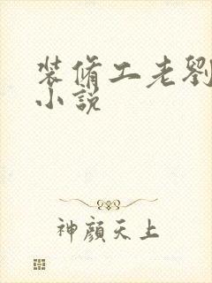 装修工老刘林雪小说