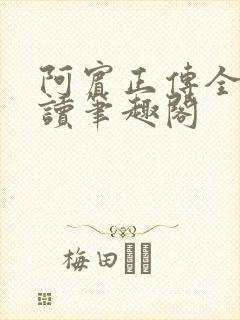 阿宾正传全文阅读笔趣阁