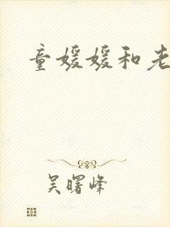 童媛媛和老赵封面