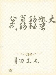 公翁的粗大放进我的秘密