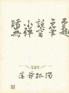 赌小说免费阅读无弹窗笔趣阁封面