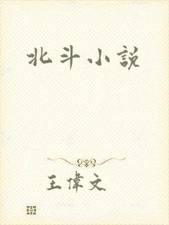 北斗小说