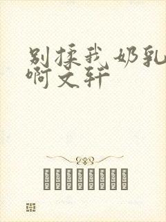 别揉我奶乳嗯～啊文轩封面