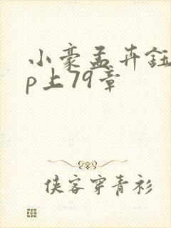 小豪孟卉钰慧三p上79章