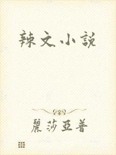 辣文小说