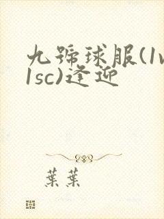 九号球服(1v1sc)逢迎封面