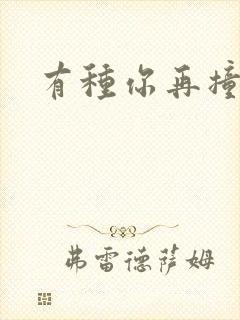 有种你再撞一下