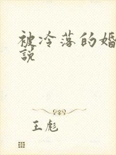 被冷落的婚姻小说