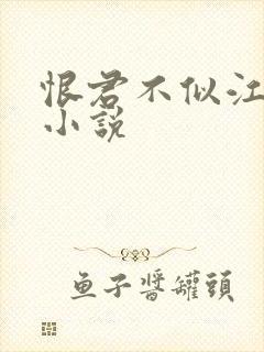 恨君不似江楼月小说封面