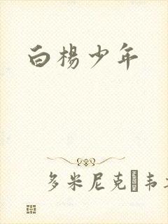 白杨少年