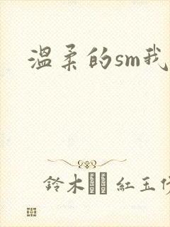 温柔的sm我