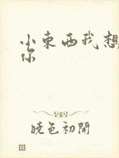 小东西我想弄坏你