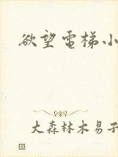 欲望电梯小说封面