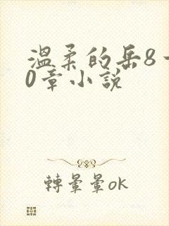 温柔的岳8一20章小说封面