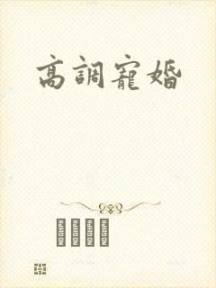高调宠婚