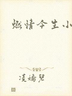 燃情今生小说