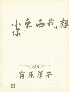 小东西我想弄坏你封面