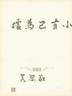 据为己有小说封面